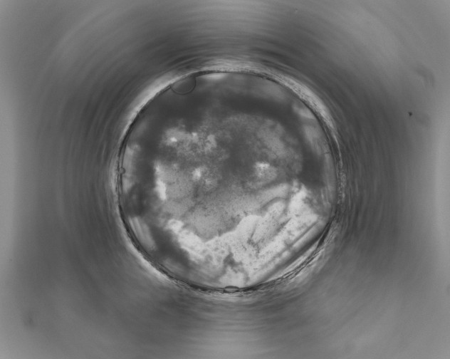 X0000111200855200907291228