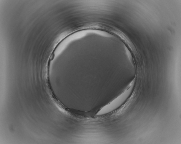 X0000111200858200907291228