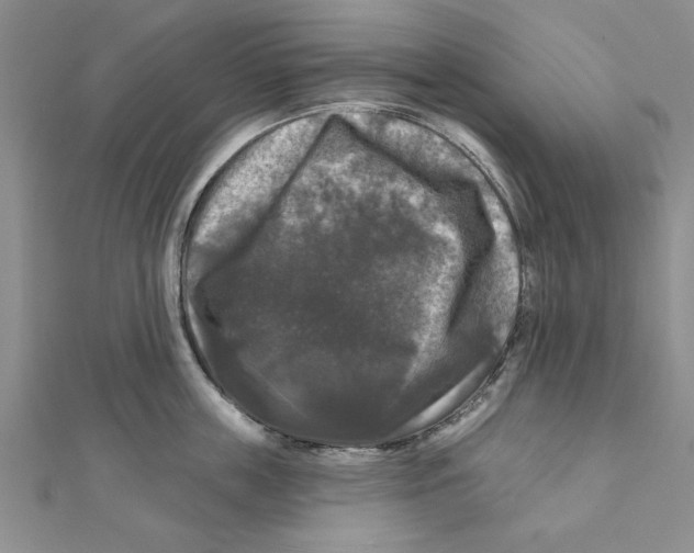 X0000111200859200907291228