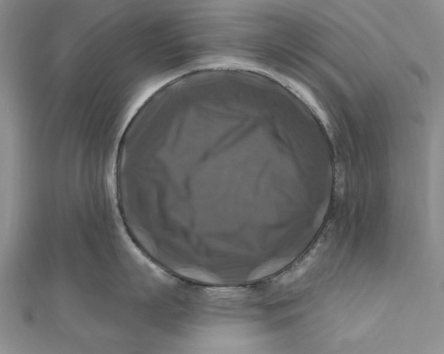 X0000111200863200907291228