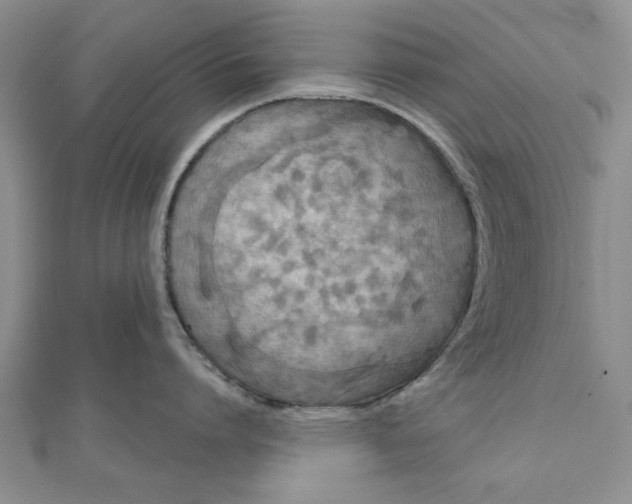 X0000111200864200907291228