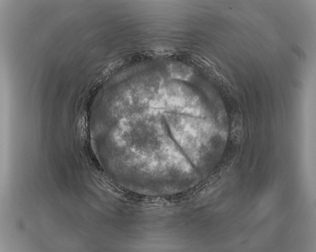 X0000111200866200907291228