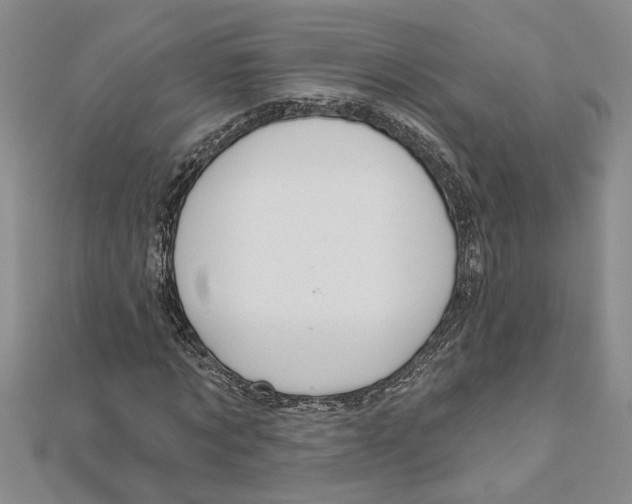 X0000111200869200907291228