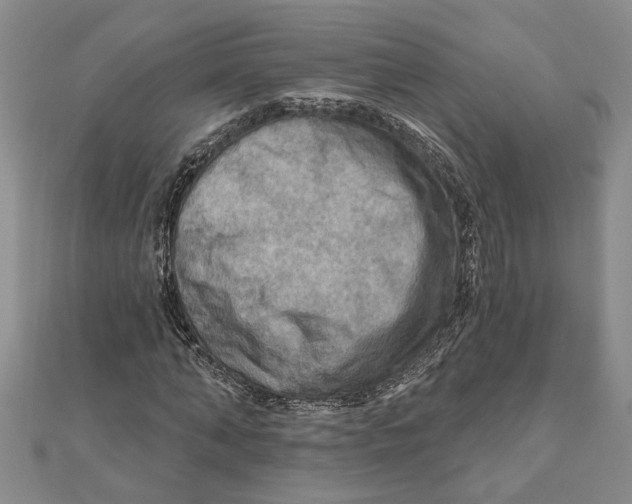 X0000111200870200907291228