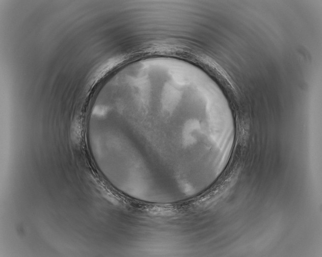 X0000111200874200907291228