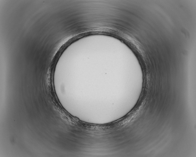 X0000111200875200907291228