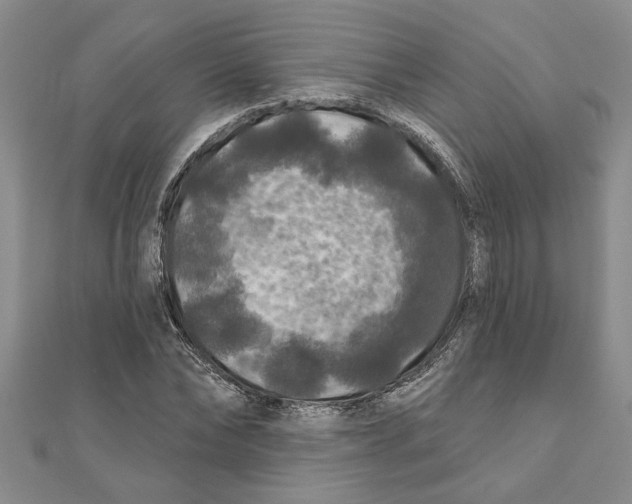 X0000111200878200907291228