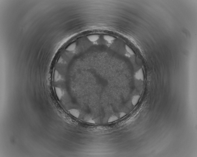 X0000111200879200907291228