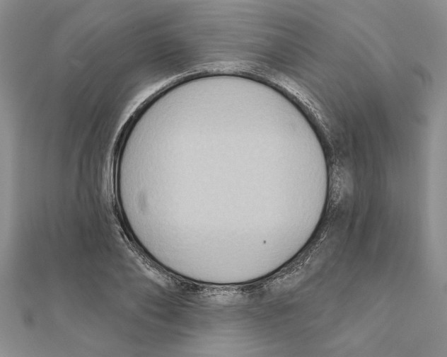 X0000111200886200907291228