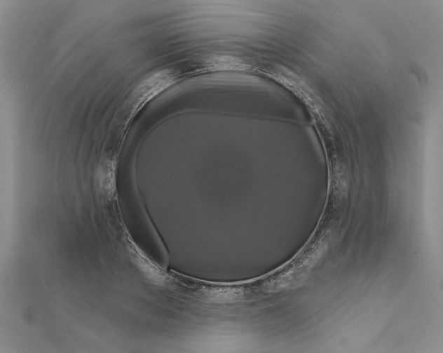 X0000111200889200907291228