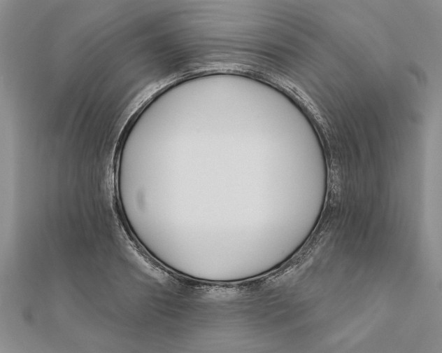 X0000111200890200907291228