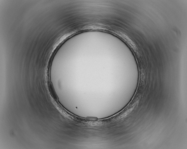 X0000111200893200907291227