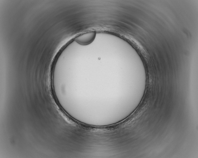 X0000111200894200907291227