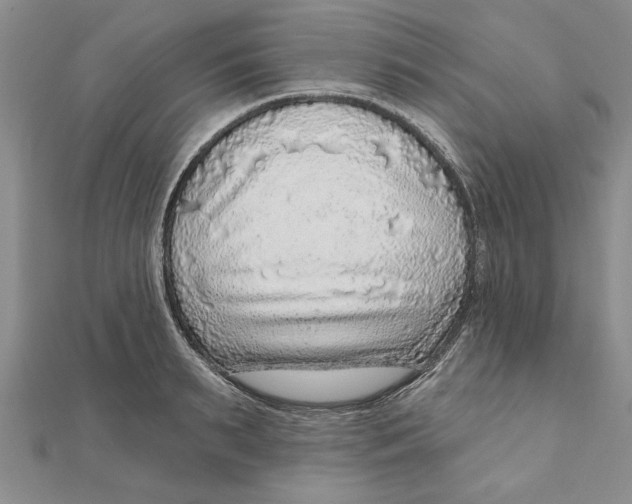 X0000111200895200907291227