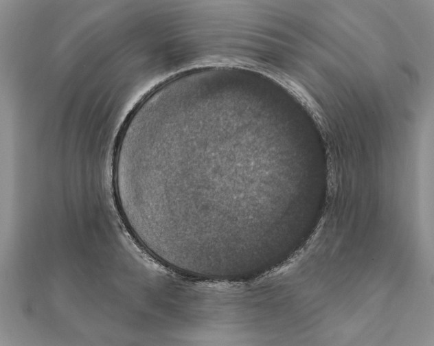 X0000111200896200907291227