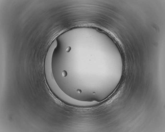 X0000111200897200907291227