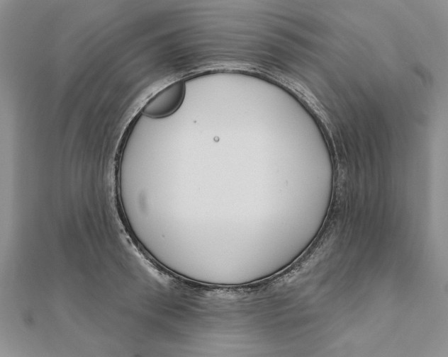 X0000111200898200907291227