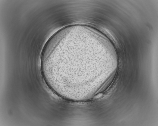 X0000111200900200907291227