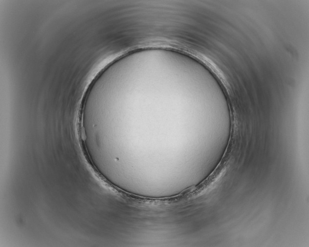 X0000111200901200907291227