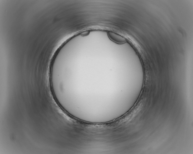 X0000111200902200907291227