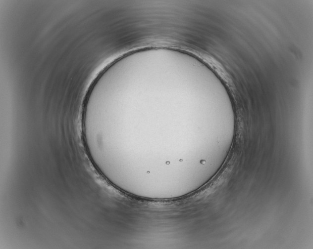 X0000111200904200907291227