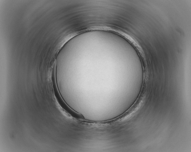 X0000111200905200907291227