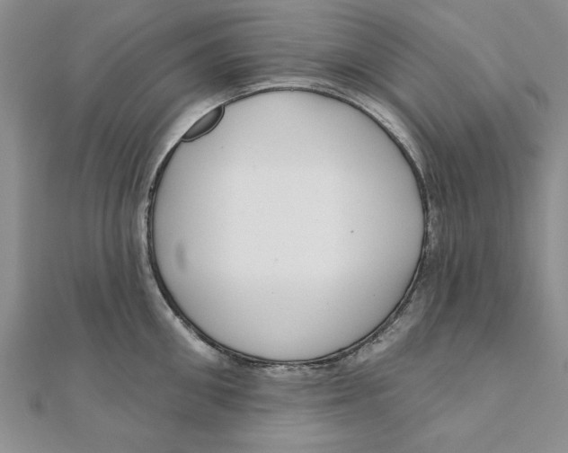 X0000111200906200907291227