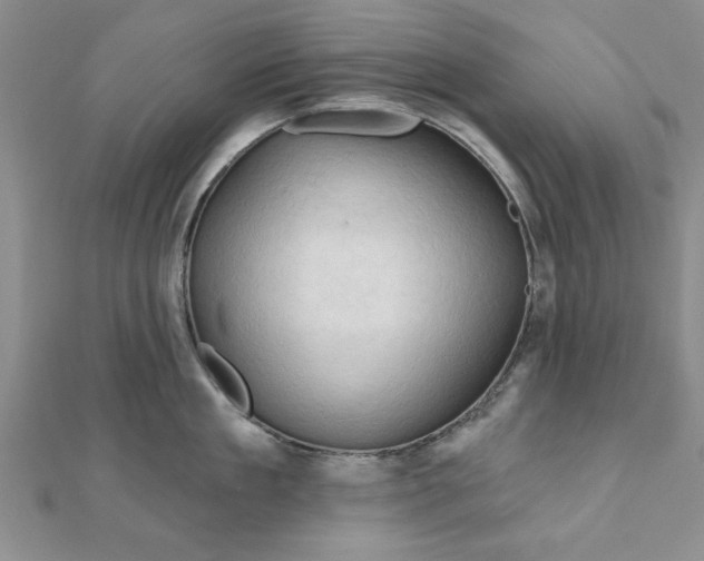 X0000111200909200907291227