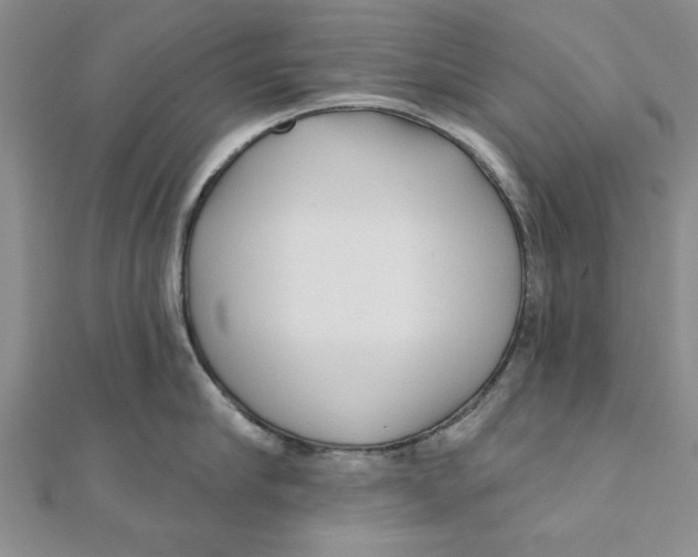 X0000111200910200907291227