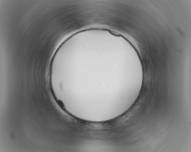 X0000111200911200907291227