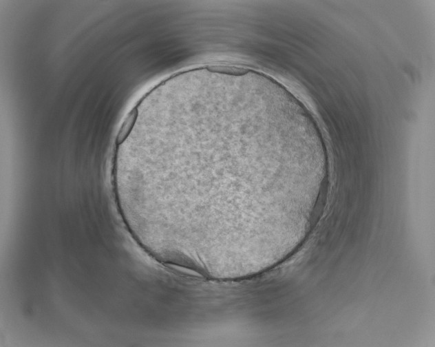 X0000111200912200907291227