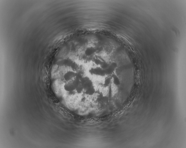 X0000111200917200907291227