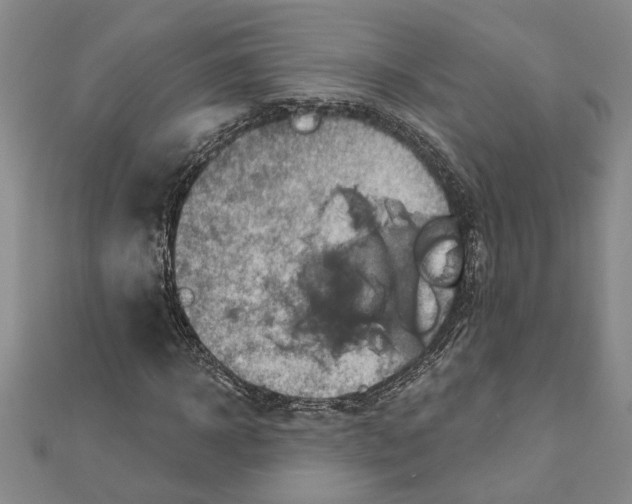 X0000111200918200907291227