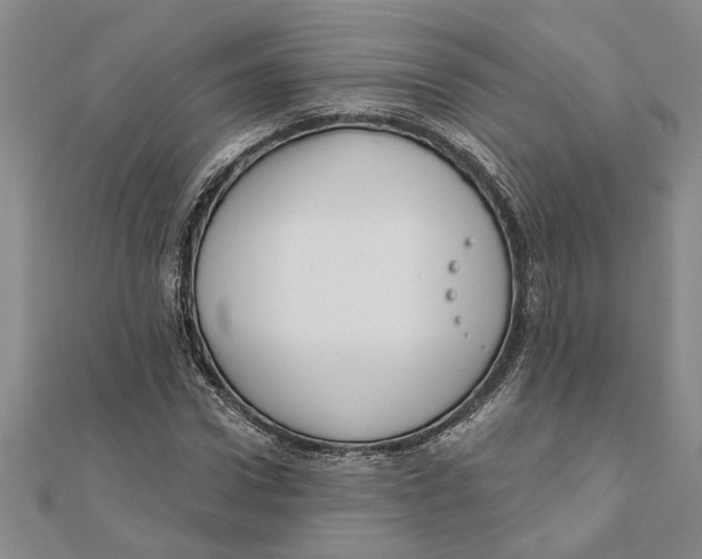 X0000111200922200907291227