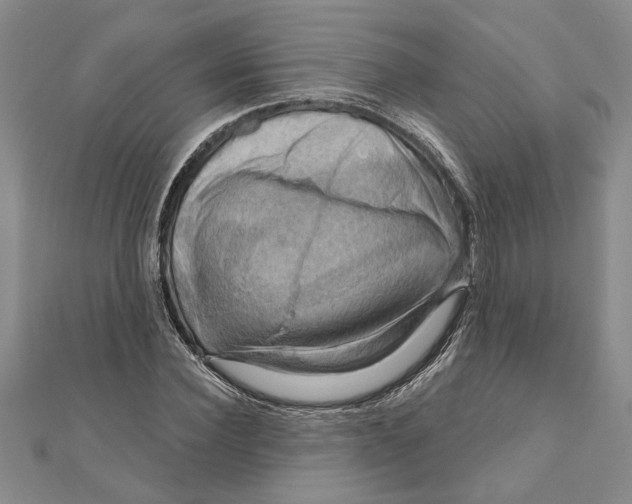 X0000111200924200907291227