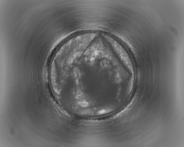 X0000111200925200907291227