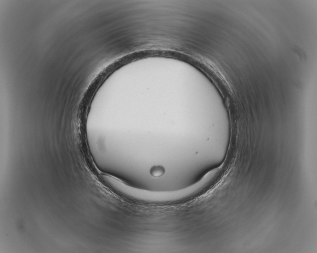 X0000111200926200907291227