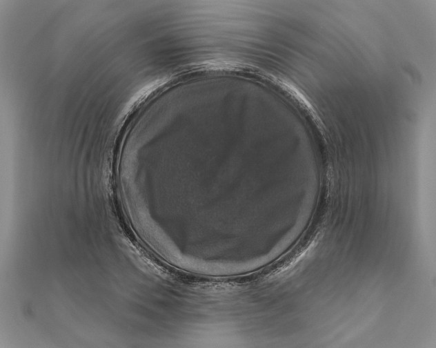 X0000111200930200907291227