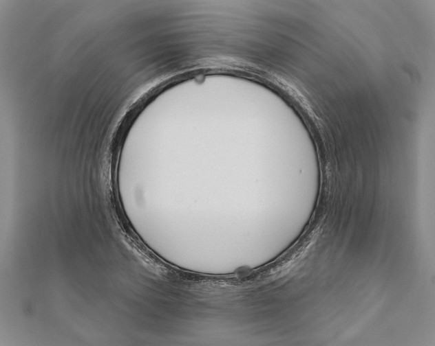 X0000111200931200907291227