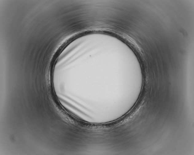 X0000111200934200907291227