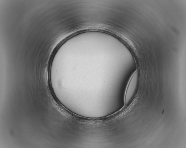 X0000111200936200907291227