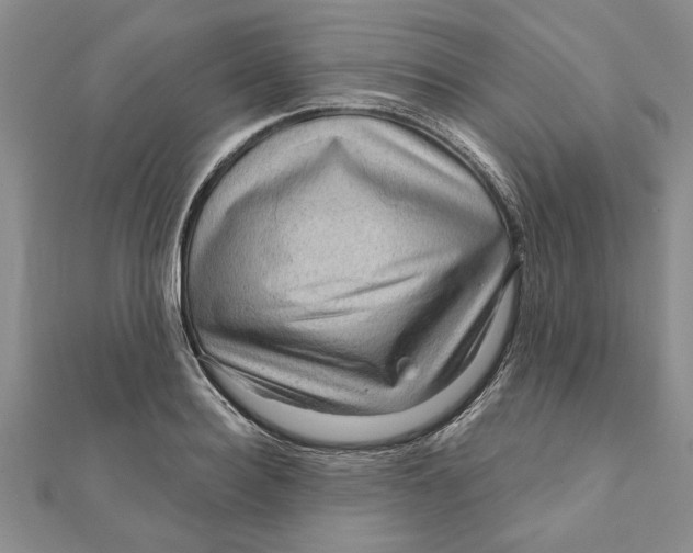 X0000111200940200907291227