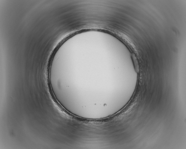 X0000111200942200907291227