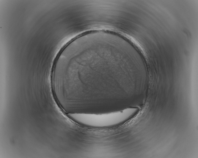 X0000111200943200907291227