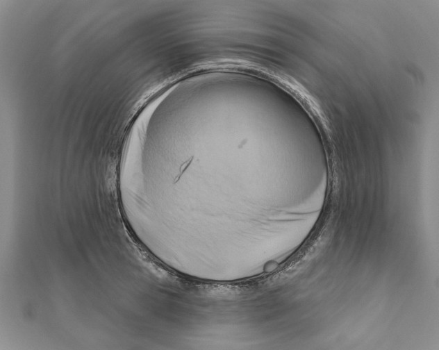 X0000111200945200907291227