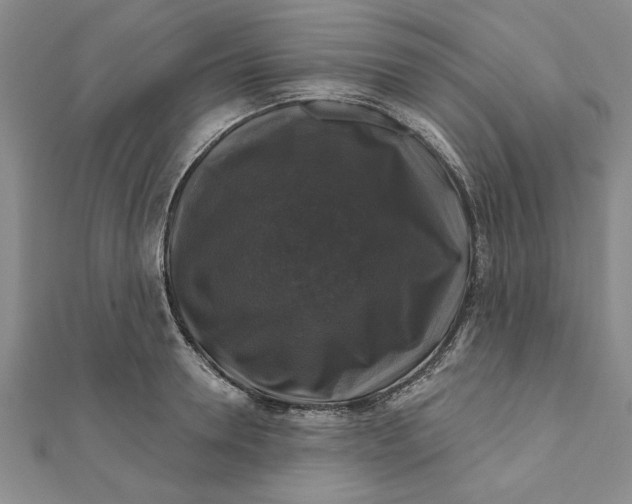 X0000111200946200907291227