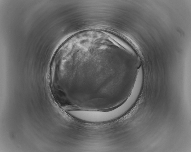 X0000111200948200907291227