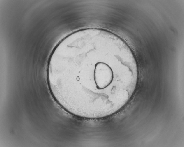 X0000111200950200907291227