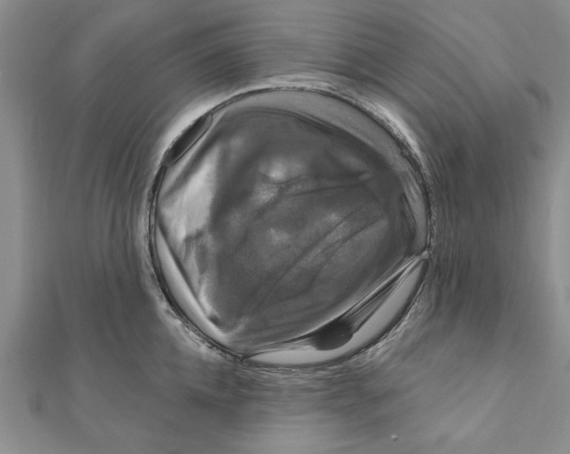 X0000111200952200907291227