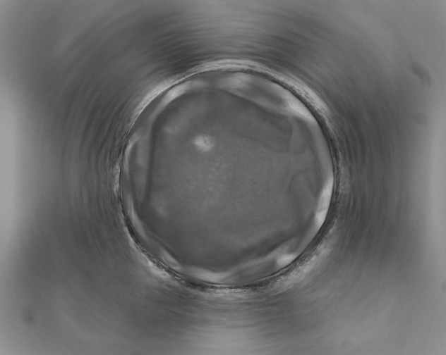 X0000111200953200907291227